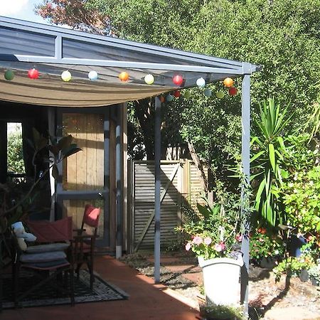 Kotuku Bed & Breakfast Уангамата Екстериор снимка